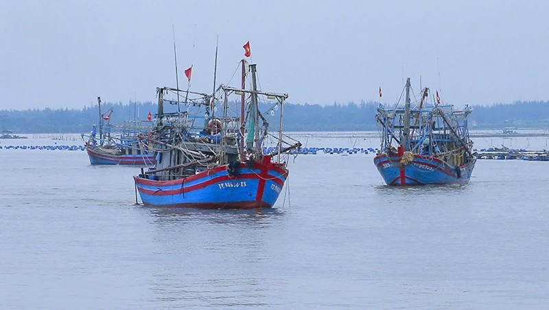 Hướng ra biển lớn