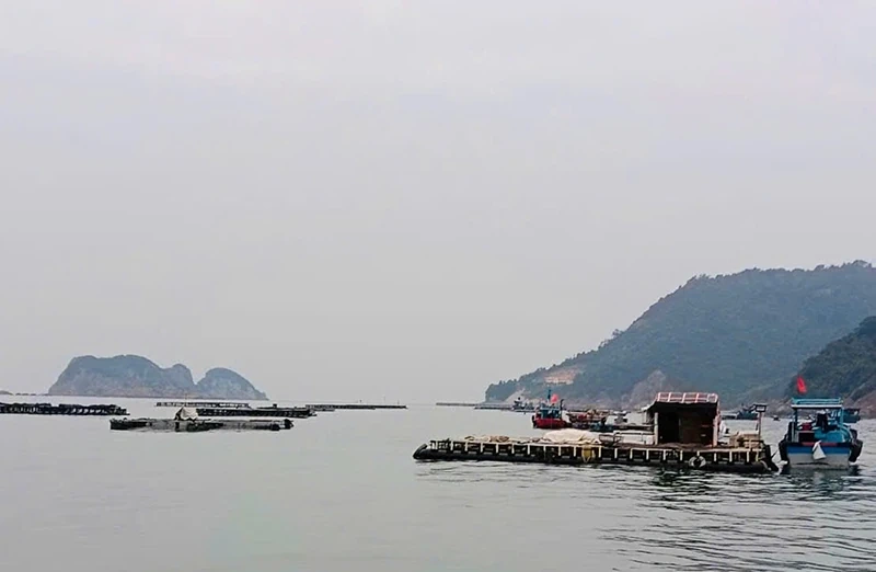 Hướng ra biển lớn