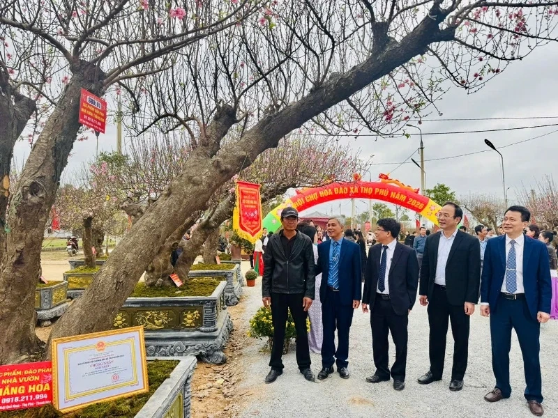 Hơn 500 tác phẩm hoa đào xã Thọ Phú trưng bày tại hội chợ