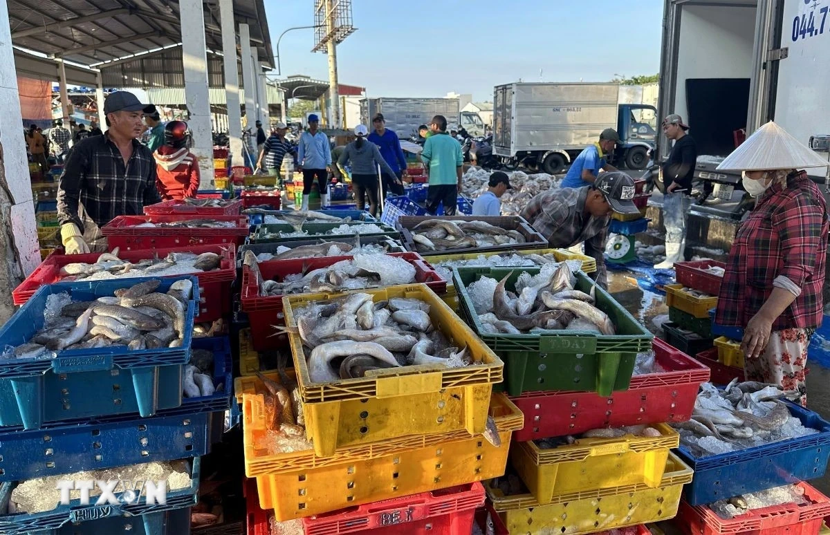 Chính phủ ban hành Nghị định quy định chi tiết thi hành Luật Thủy sản