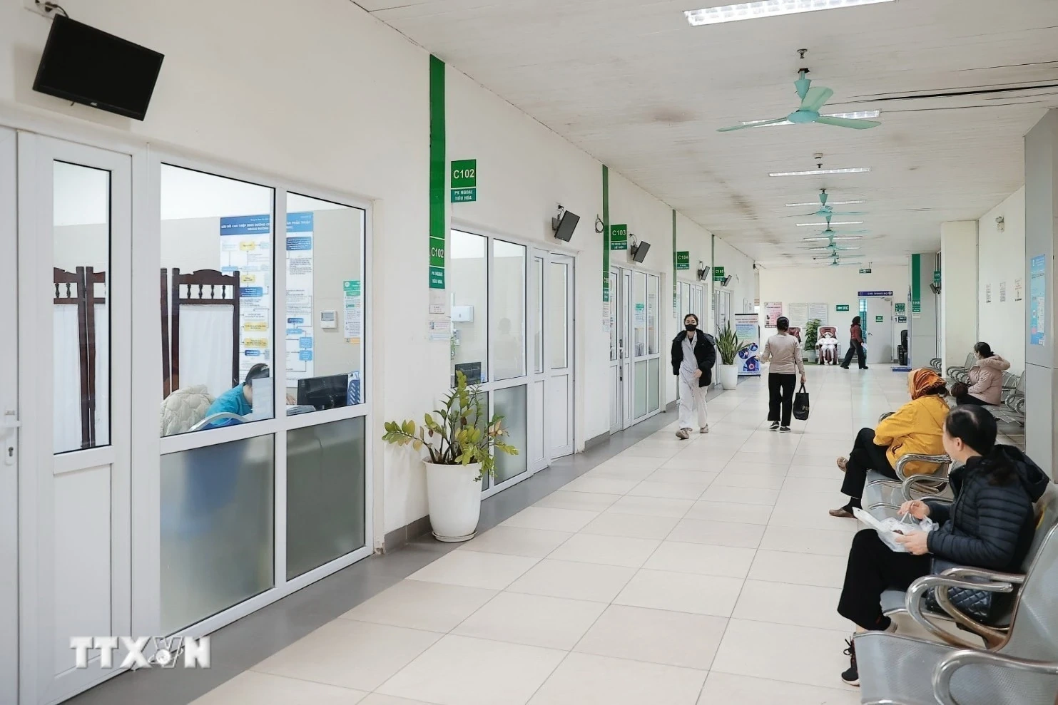 Virus Nipah có nguy cơ trở thành đại dịch như COVID-19 không?