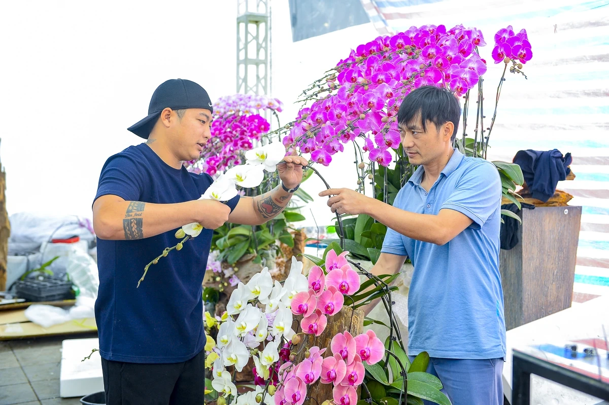 Vào vụ Tết, thợ cắm lan “chạy sô”, thu tiền triệu mỗi ngày