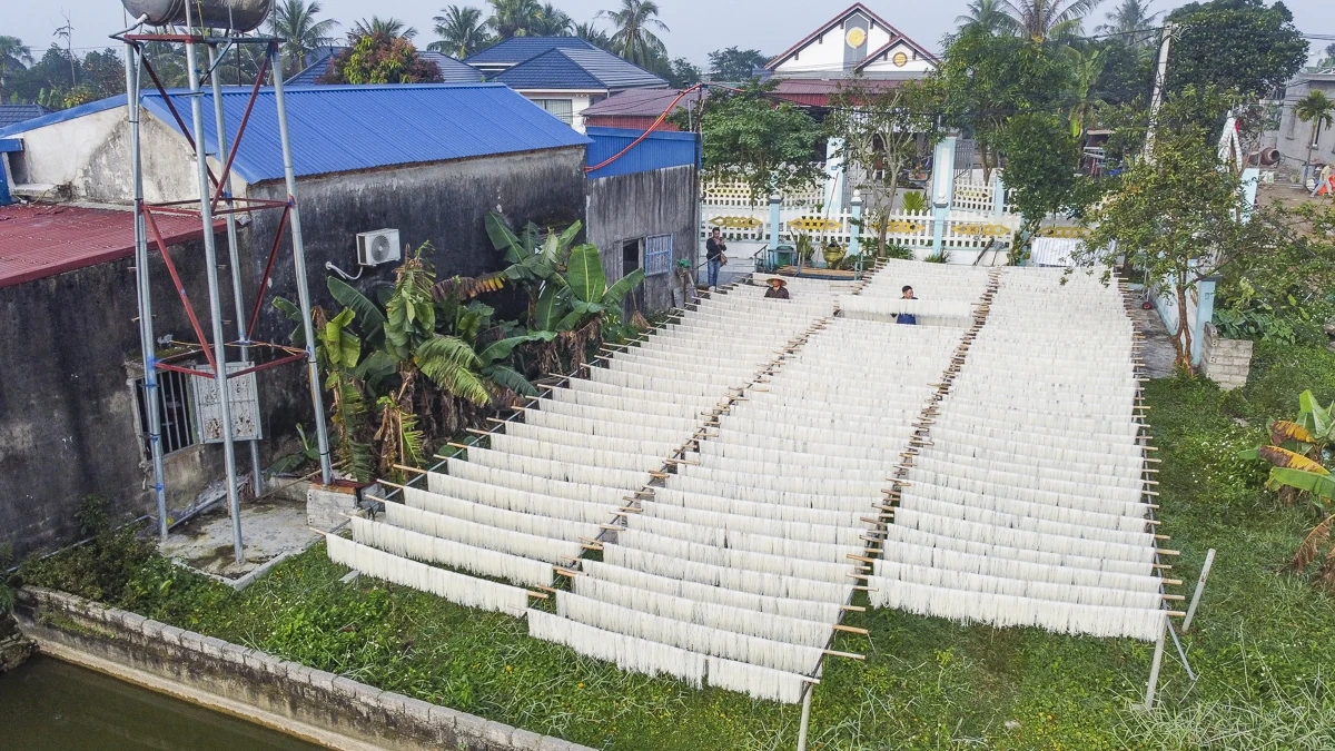 Từ hạt gạo quê đến sợi miến ngày Tết ở làng nghề xứ Thanh