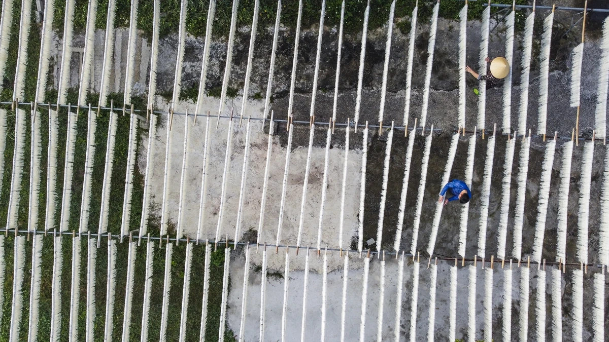 Từ hạt gạo quê đến sợi miến ngày Tết ở làng nghề xứ Thanh