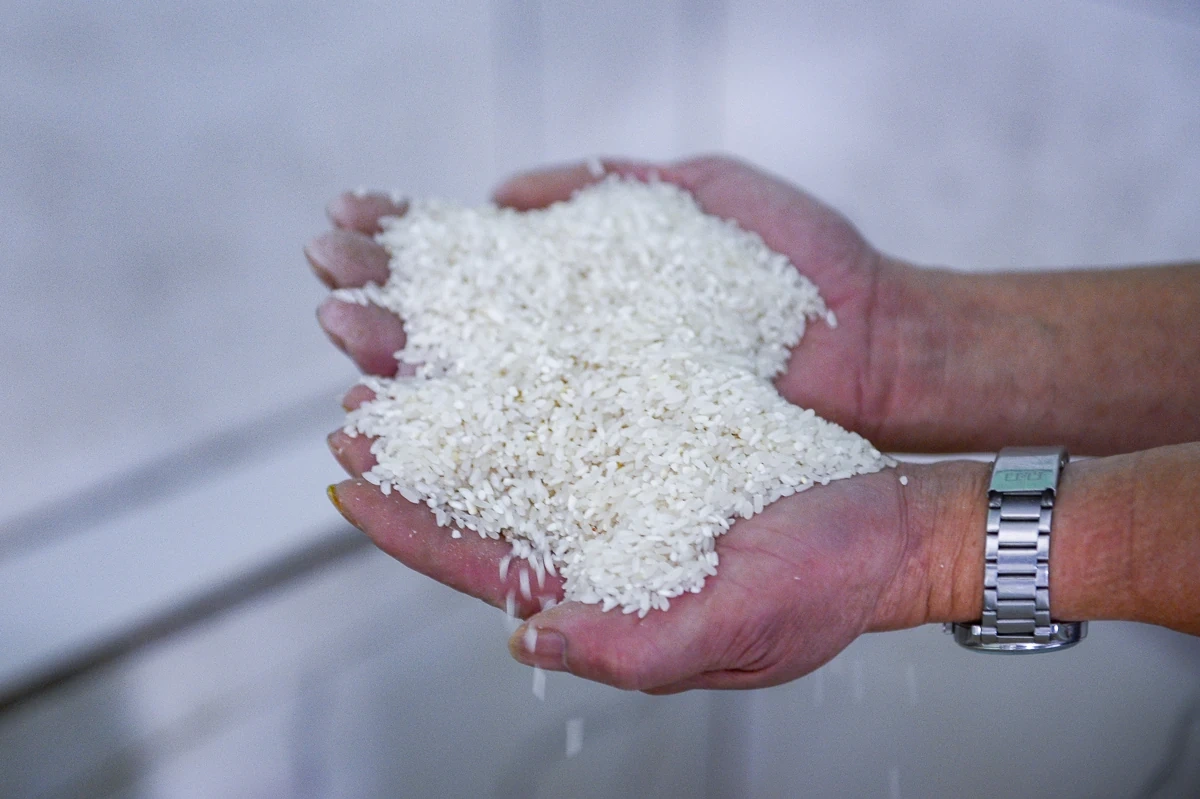 Từ hạt gạo quê đến sợi miến ngày Tết ở làng nghề xứ Thanh