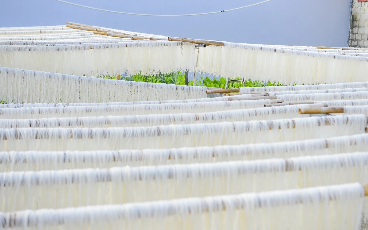 Từ hạt gạo quê đến sợi miến ngày Tết ở làng nghề xứ Thanh