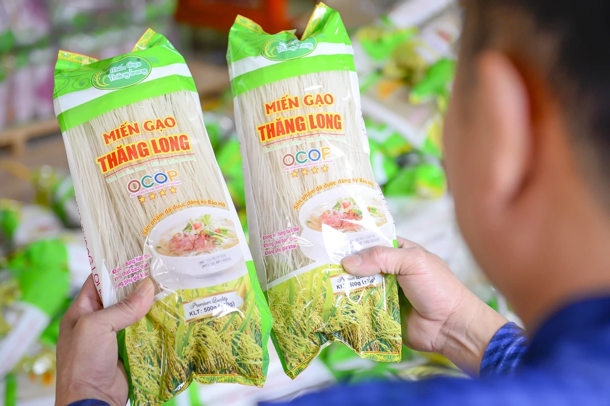 Từ hạt gạo quê đến sợi miến ngày Tết ở làng nghề xứ Thanh