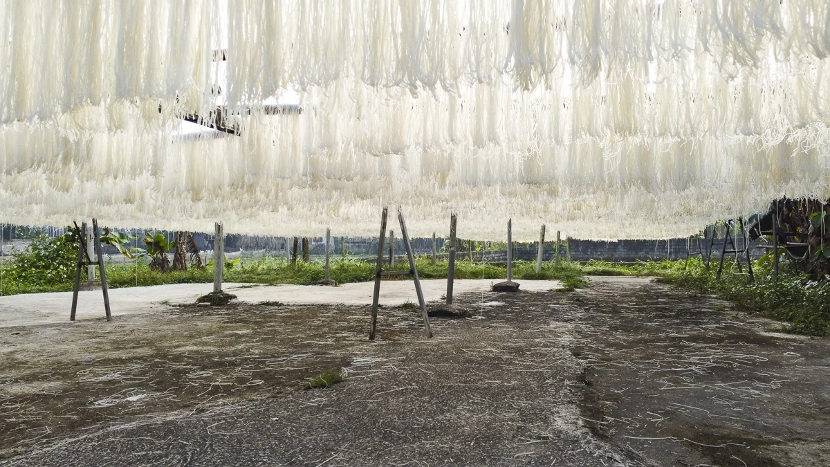 Từ hạt gạo quê đến sợi miến ngày Tết ở làng nghề xứ Thanh