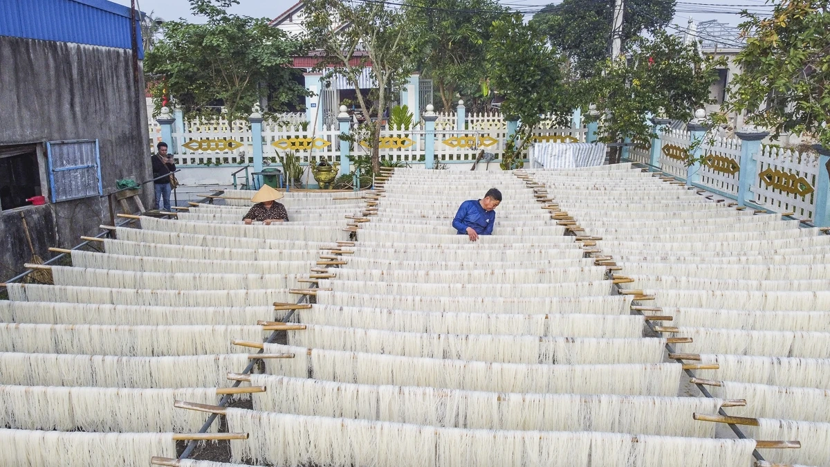 Từ hạt gạo quê đến sợi miến ngày Tết ở làng nghề xứ Thanh