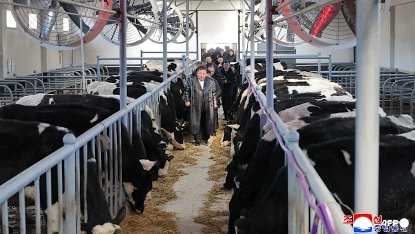 Triều Tiên chuẩn bị tổ chức Đại hội Đảng Lao động lần thứ 9