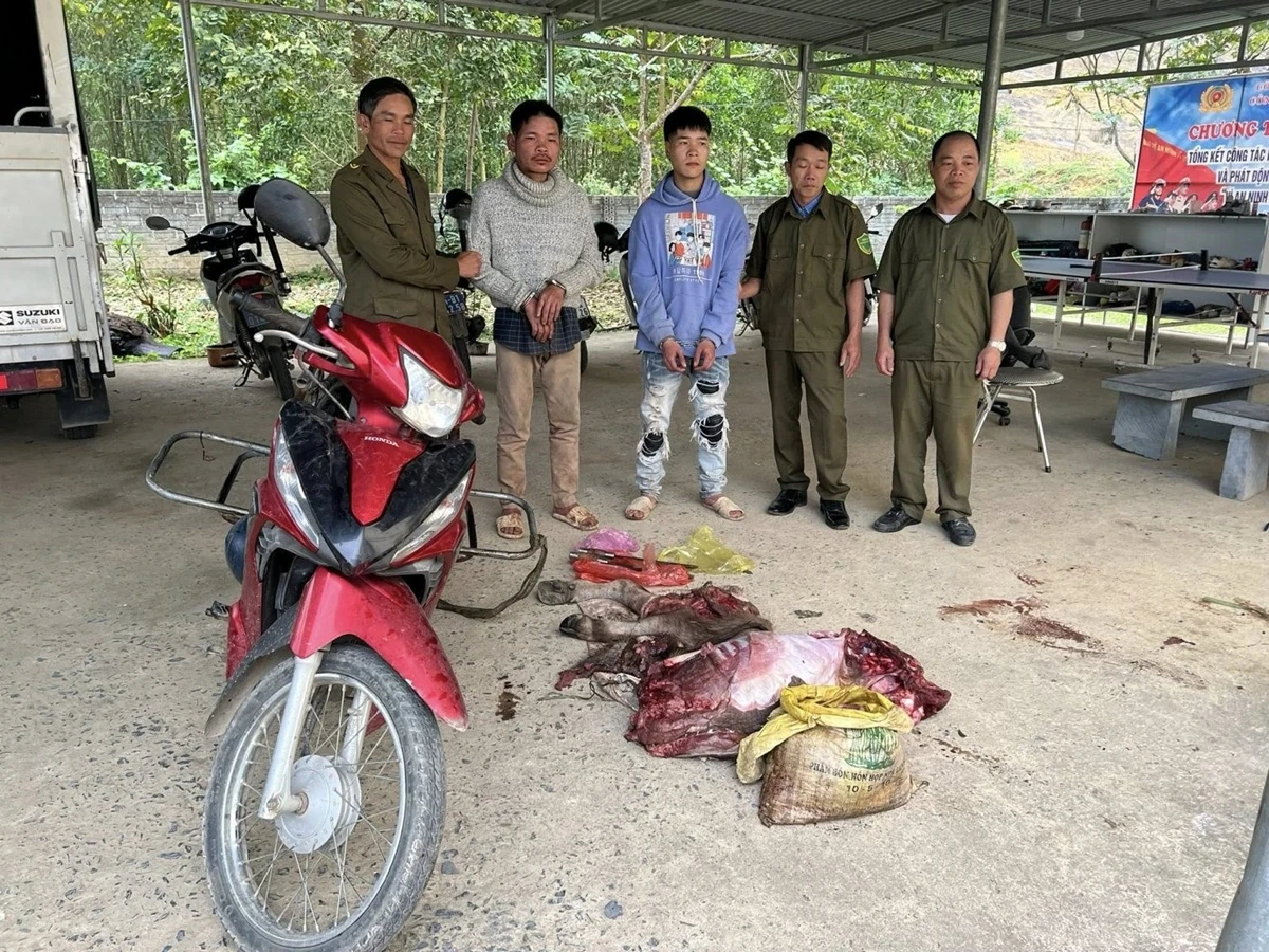 Hai đối tượng trộm trâu của người dân khi cột trên đồi