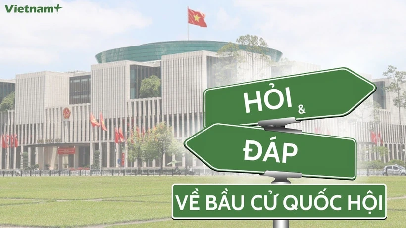 Bầu cử Quốc hội và HĐND: Các đơn vị vũ trang được cấp thẻ cử tri như thế nào?