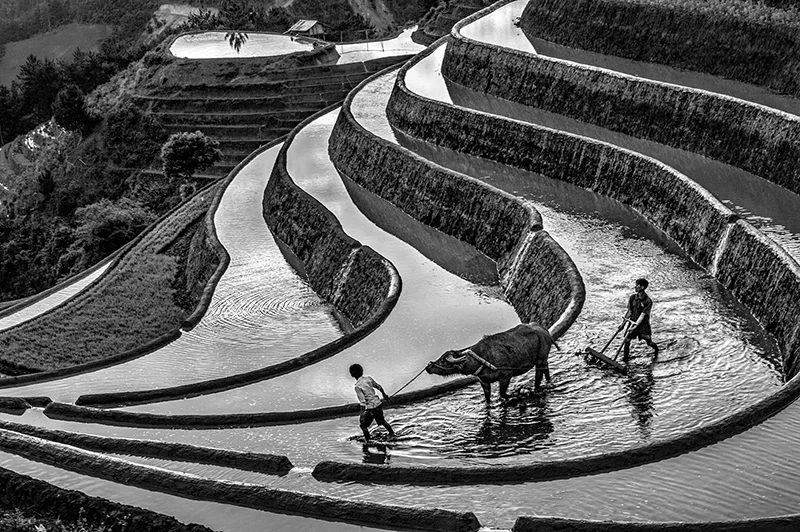 “Xuyên” Thanh và những khoảnh khắc đáng nhớ