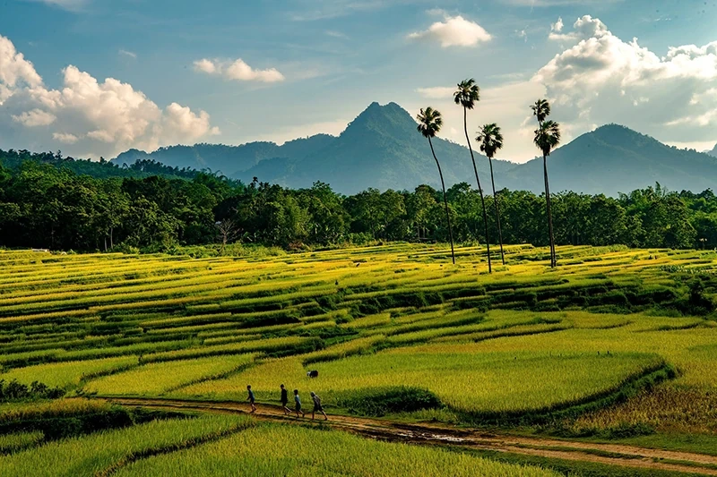 “Xuyên” Thanh và những khoảnh khắc đáng nhớ