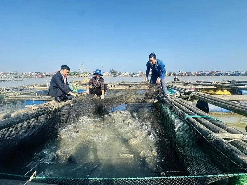 Tiếp sức cho hộ nghèo sản xuất, kinh doanh