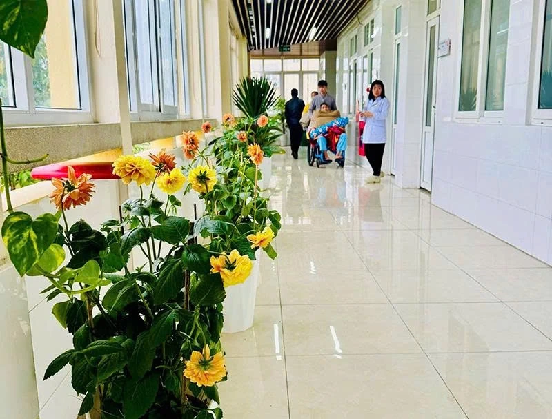 5S ở Bệnh viện Đa khoa tỉnh Thanh Hóa: Từ nền nếp khoa học đến nâng cao chất lượng điều trị