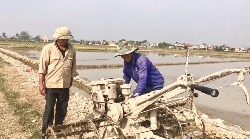 Thiệu Toán đảm bảo sản xuất vụ xuân trong khung thời vụ