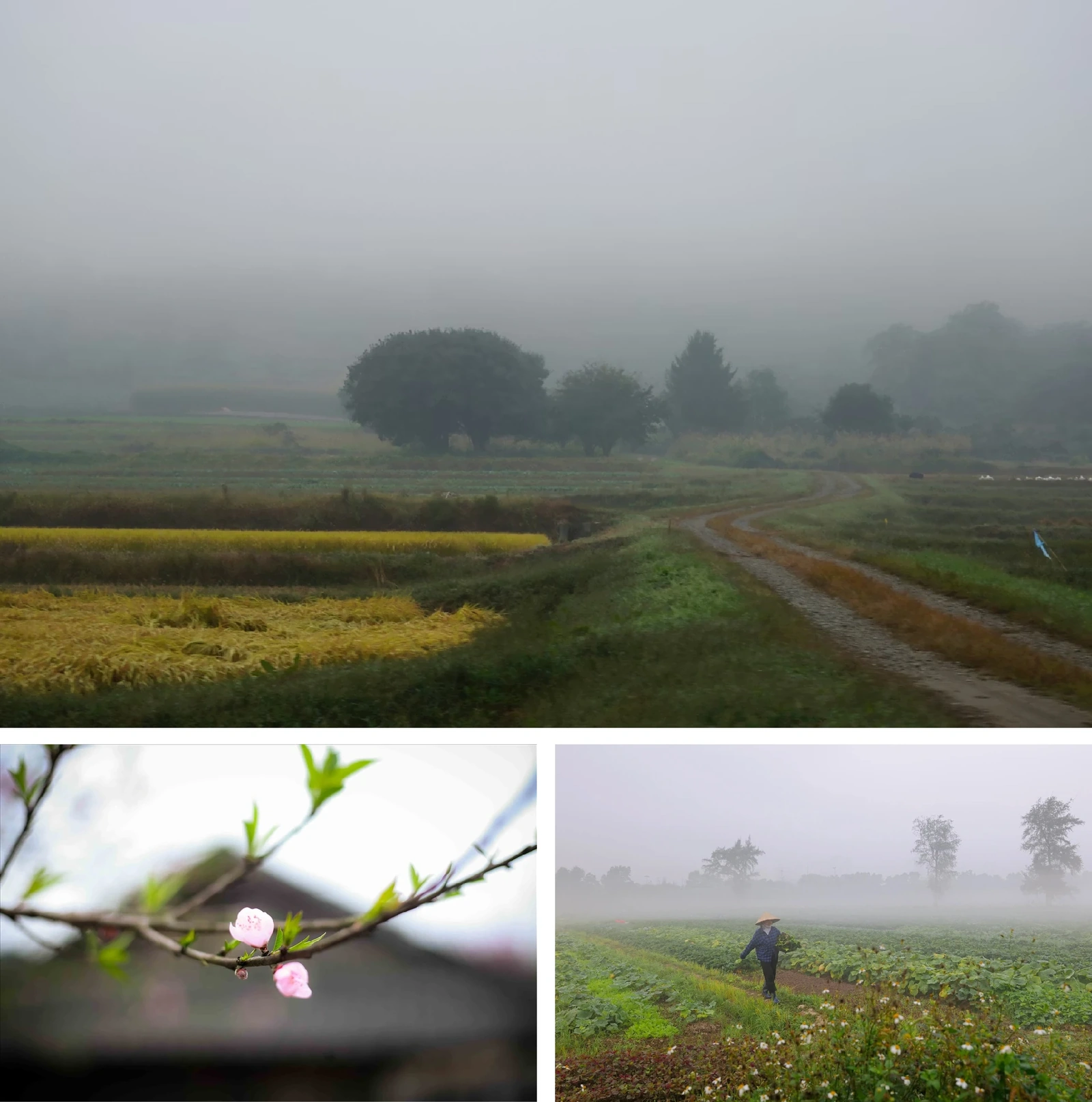 [E-Magazine]: Hồn xuân đất Bắc