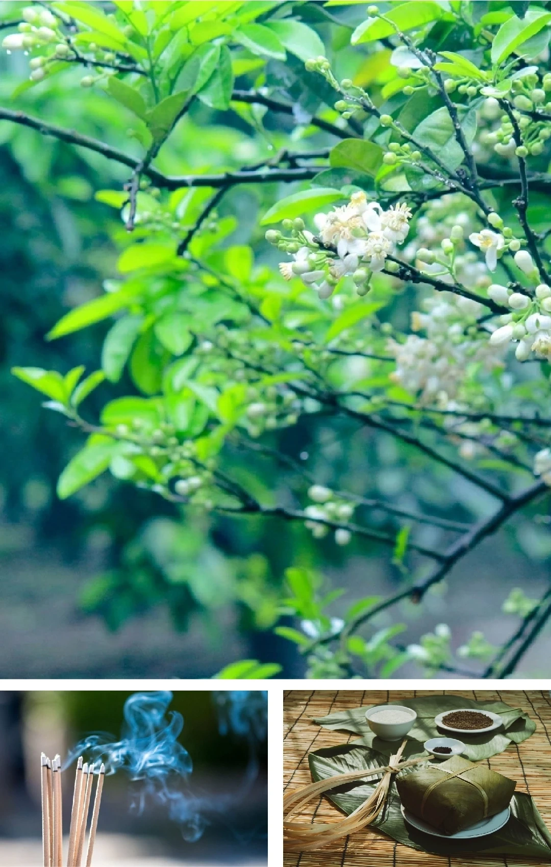 [E-Magazine]: Hồn xuân đất Bắc