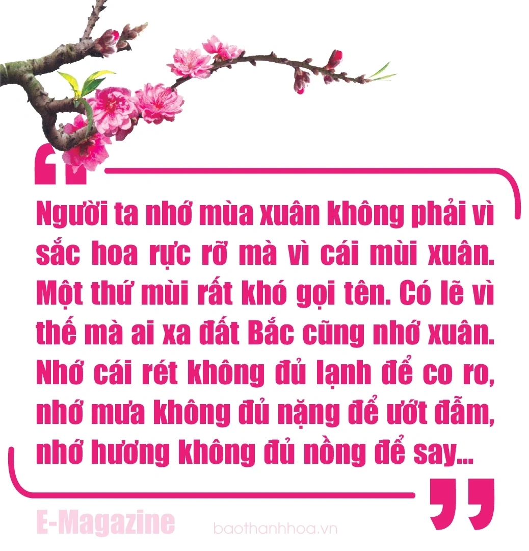 [E-Magazine]: Hồn xuân đất Bắc