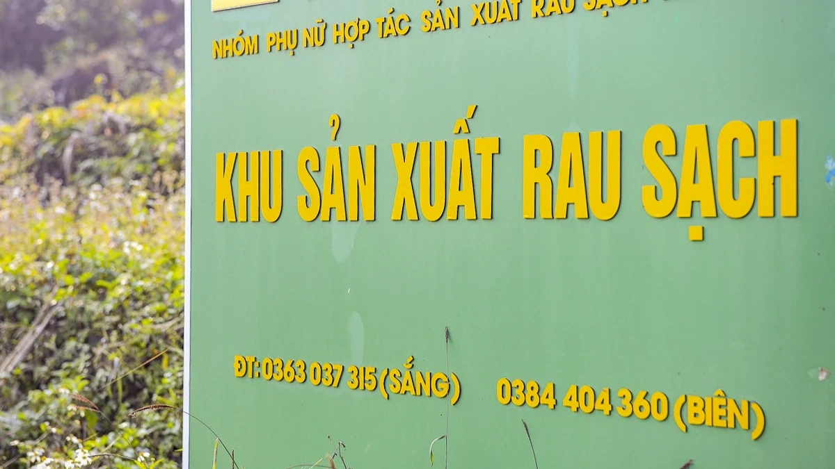 Rau an toàn Pù Luông - sinh kế nhỏ giữa vùng du lịch sinh thái