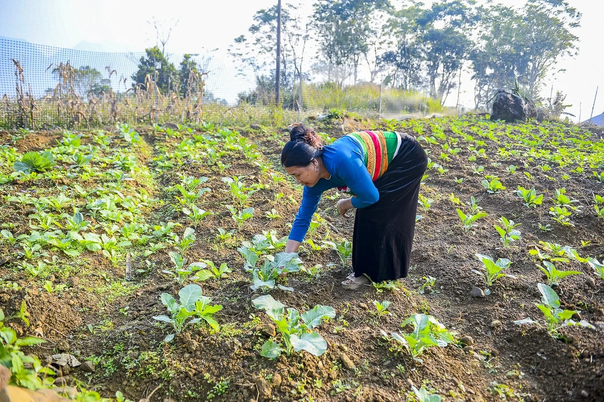 Rau an toàn Pù Luông - sinh kế nhỏ giữa vùng du lịch sinh thái