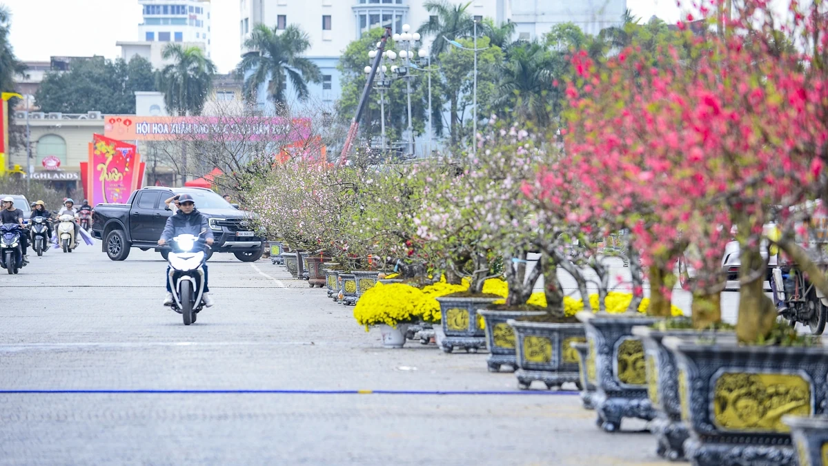 Quảng trường Lam Sơn rộn ràng chợ hoa Tết