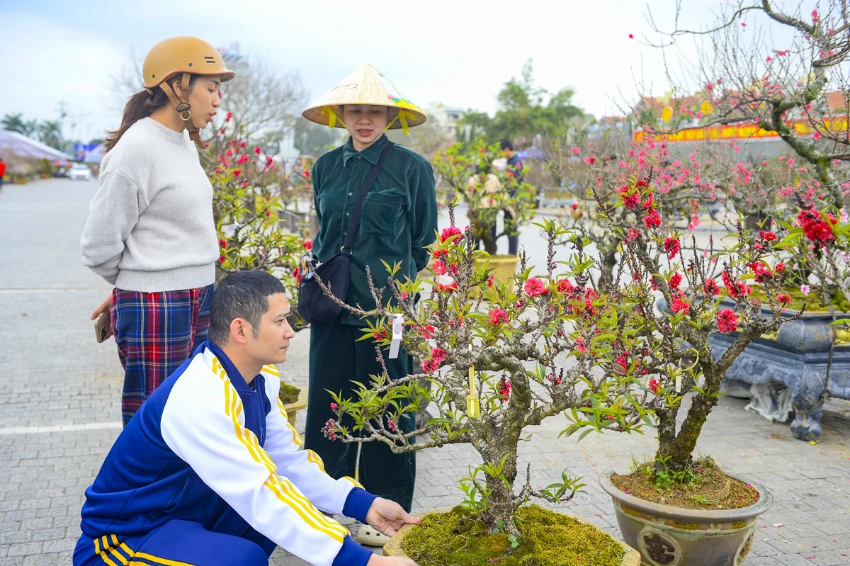 Quảng trường Lam Sơn rộn ràng chợ hoa Tết