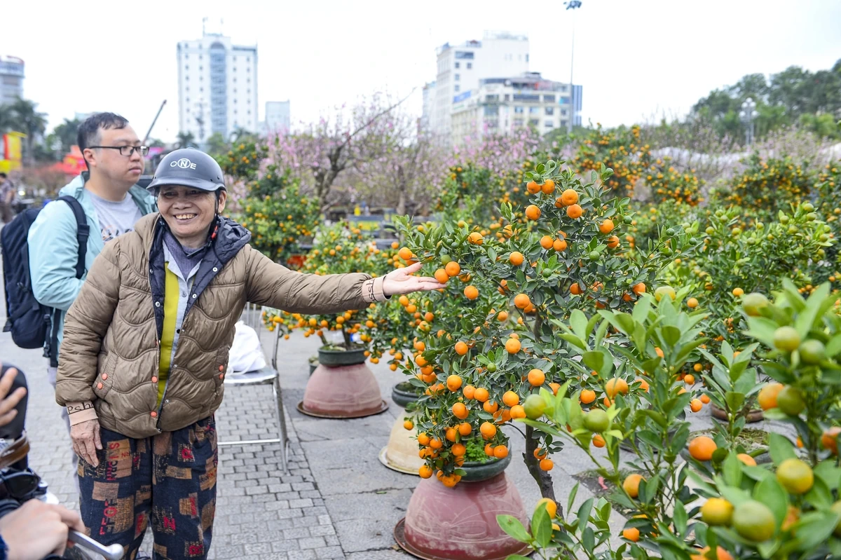 Quảng trường Lam Sơn rộn ràng chợ hoa Tết
