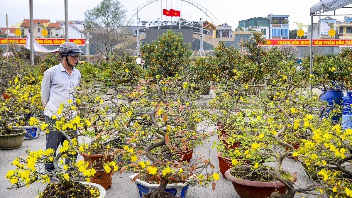 Quảng trường Lam Sơn rộn ràng chợ hoa Tết