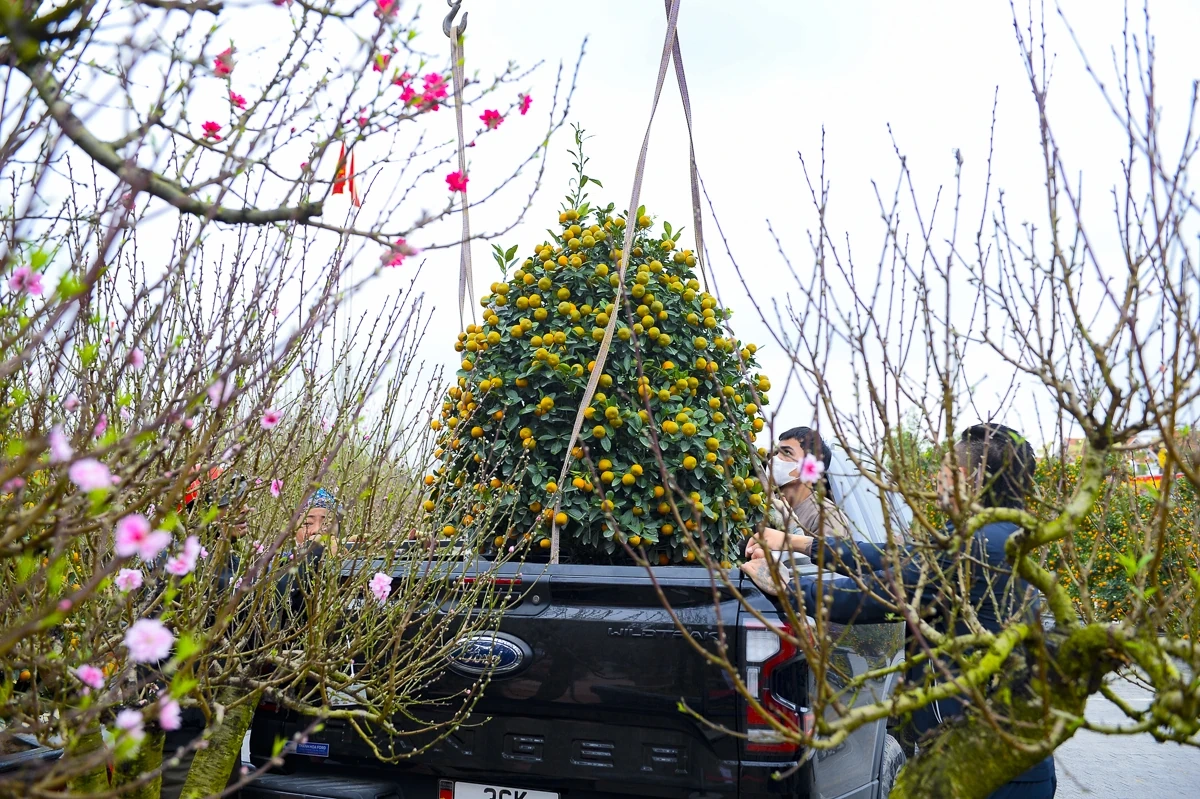 Quảng trường Lam Sơn rộn ràng chợ hoa Tết