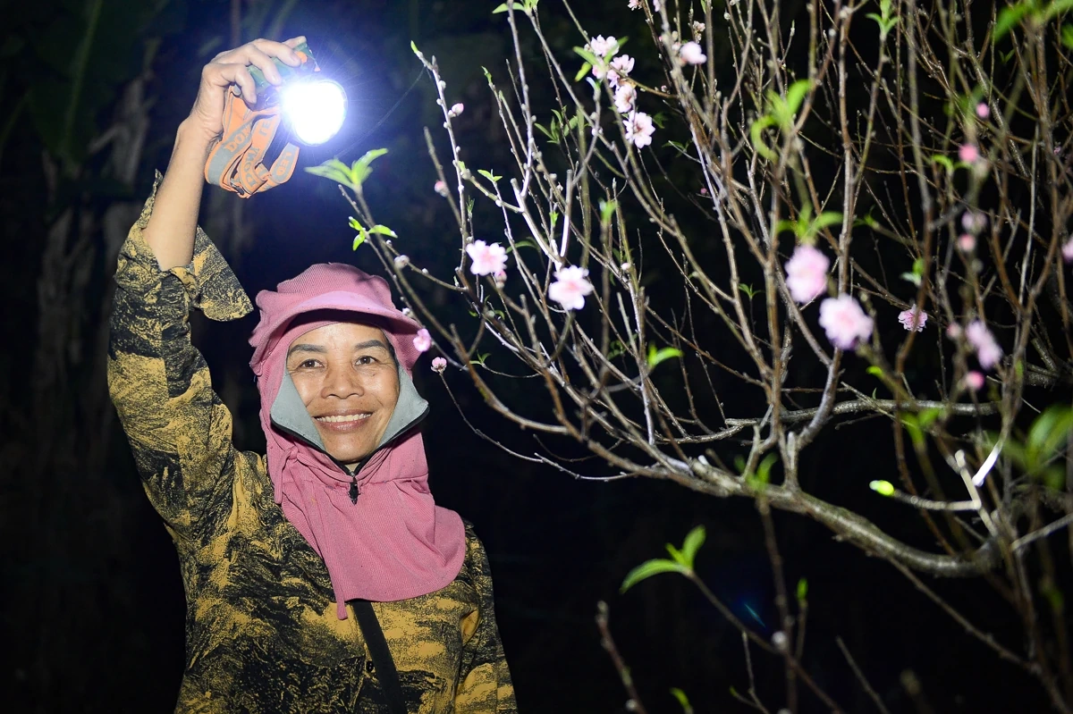 Thức cùng đêm lạnh để giữ sắc xuân