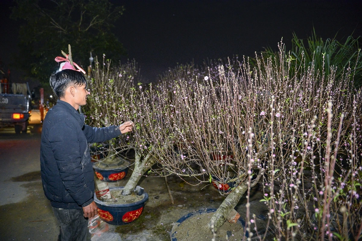 Thức cùng đêm lạnh để giữ sắc xuân