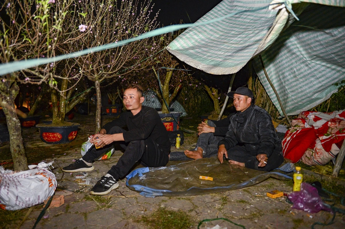 Thức cùng đêm lạnh để giữ sắc xuân