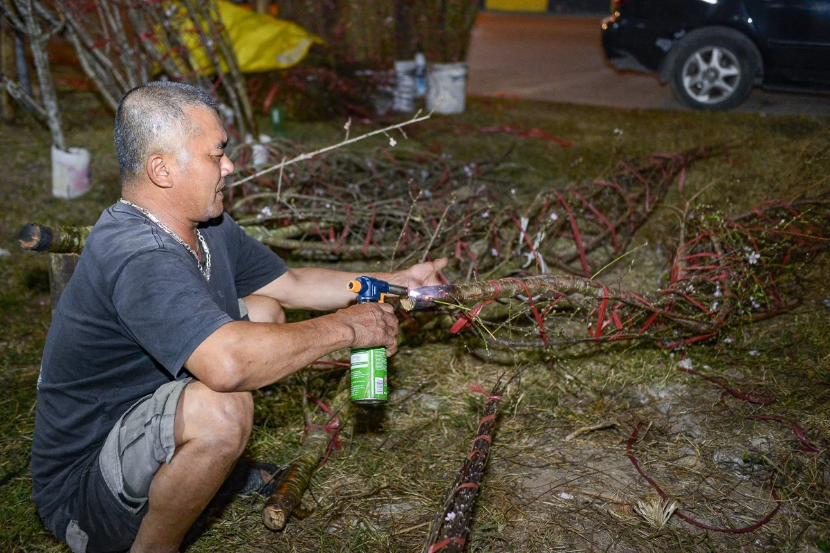 Thức cùng đêm lạnh để giữ sắc xuân