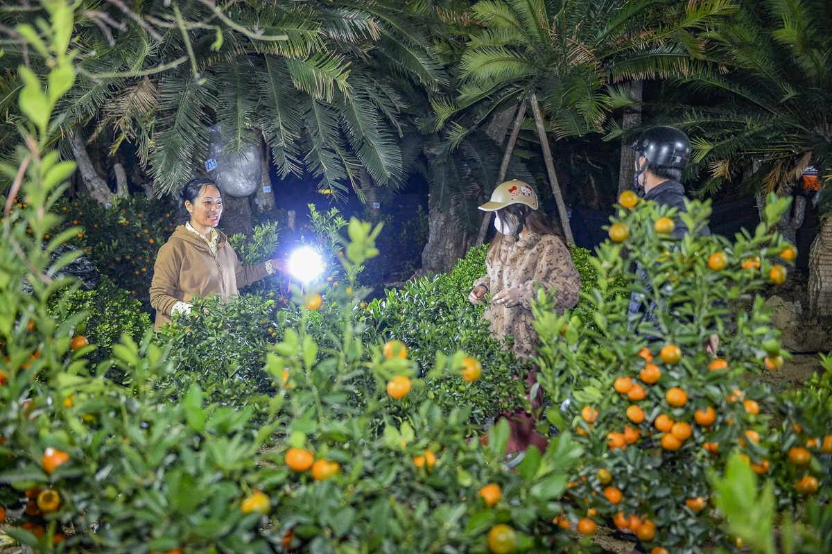 Thức cùng đêm lạnh để giữ sắc xuân