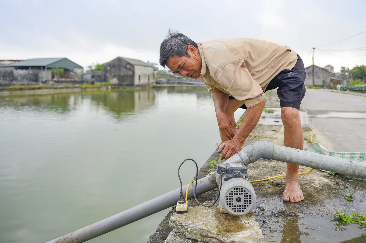 Cá chép đỏ vào vụ, hút hàng dịp Tết ông Công, ông Táo