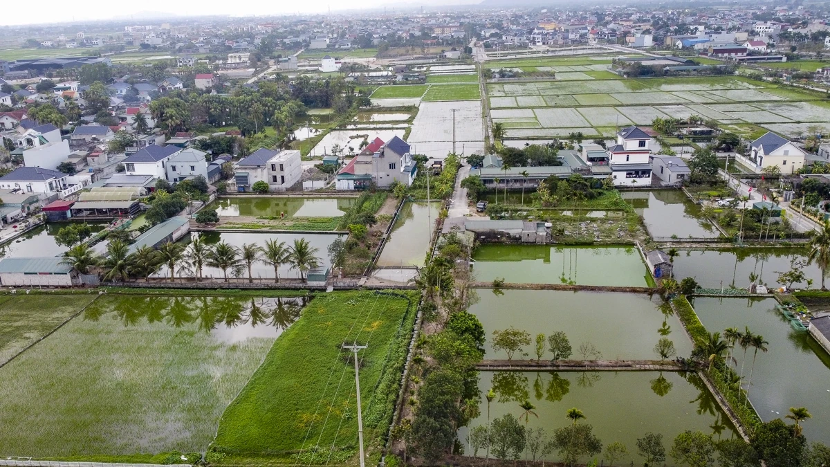 Cá chép đỏ vào vụ, hút hàng dịp Tết ông Công, ông Táo
