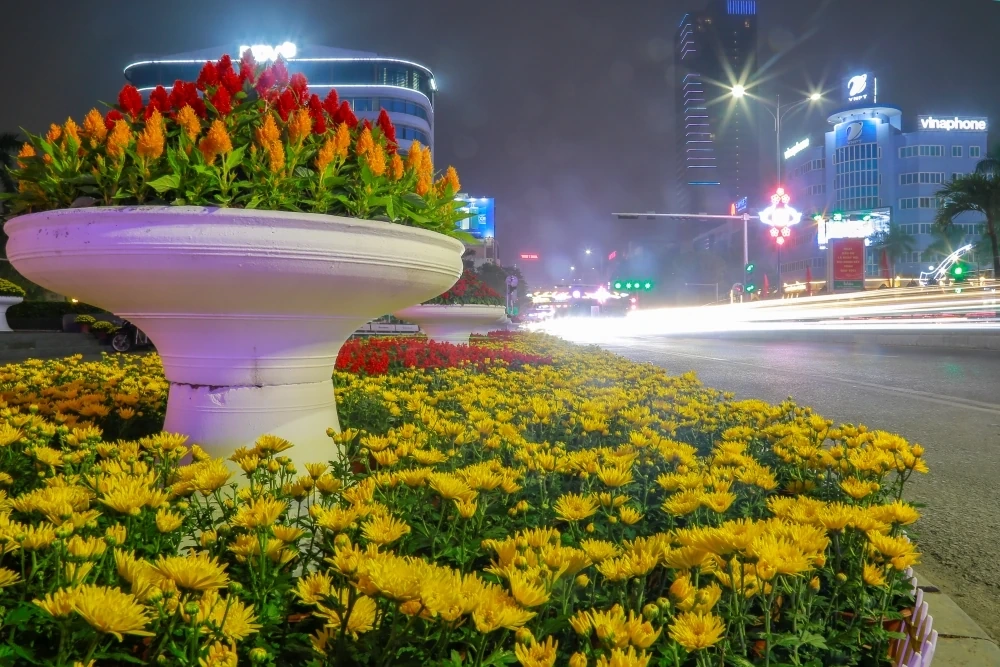 Phố phường lung linh đón Tết Nguyên đán Bính Ngọ 2026