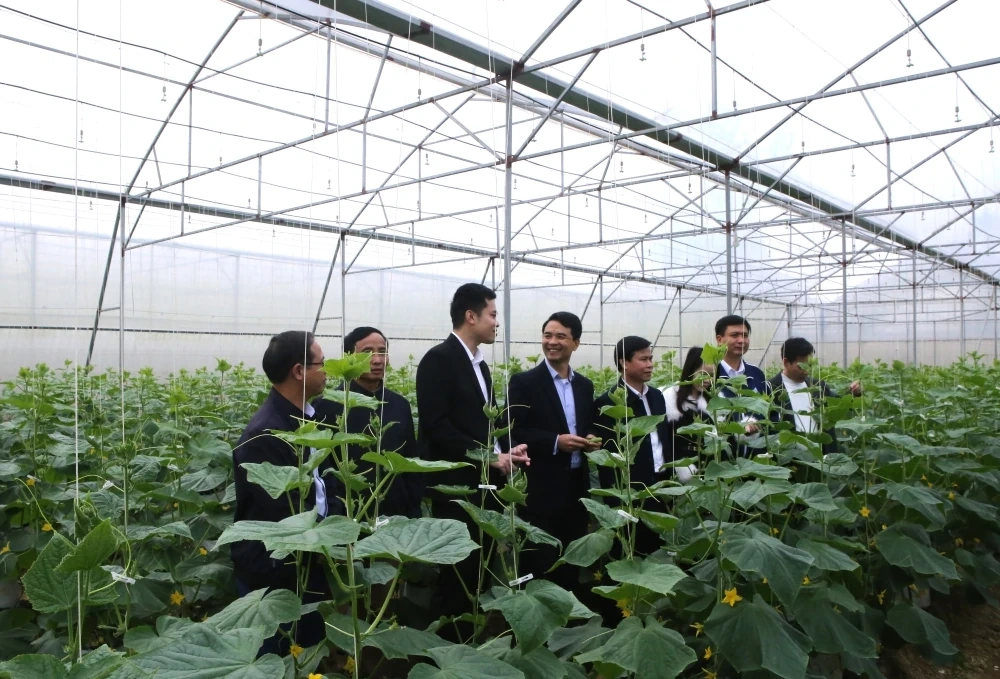 Lãnh đạo Liên minh HTX Việt Nam thăm, tặng quà Tết các địa phương tại Thanh Hóa