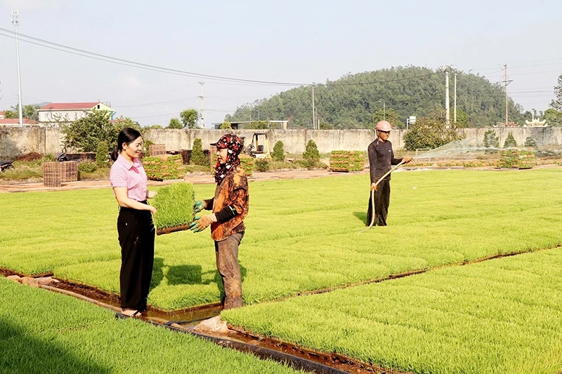 Hội LHPN xã Hoằng Phú hỗ trợ hội viên phát triển kinh tế