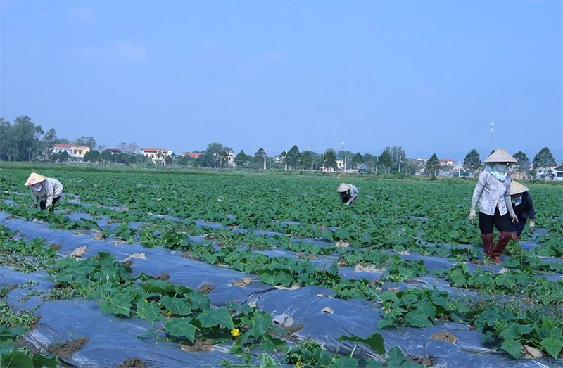 “Quyết tâm gấp mười lần và hành động gấp trăm lần” vì hạnh phúc Nhân dân (Bài 2): Đột phá tư duy - mở đường kiến tạo