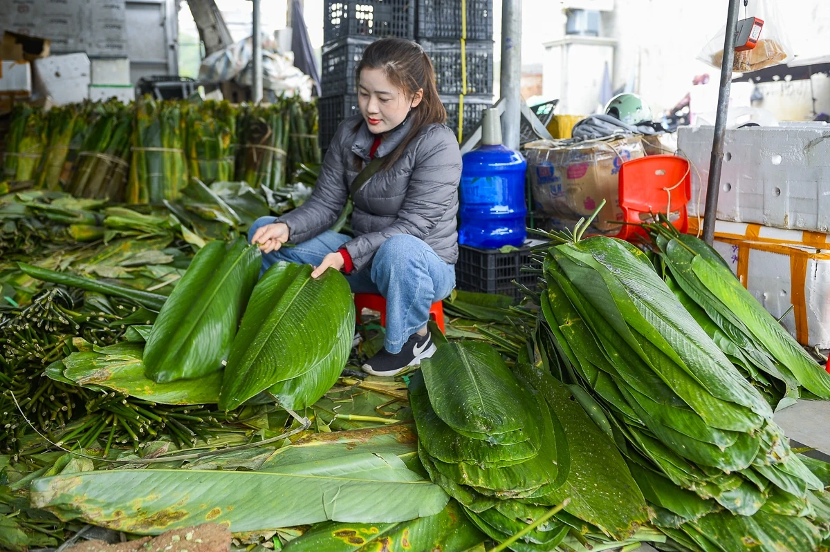 Lá dong, lạt giang rộn ràng về phố