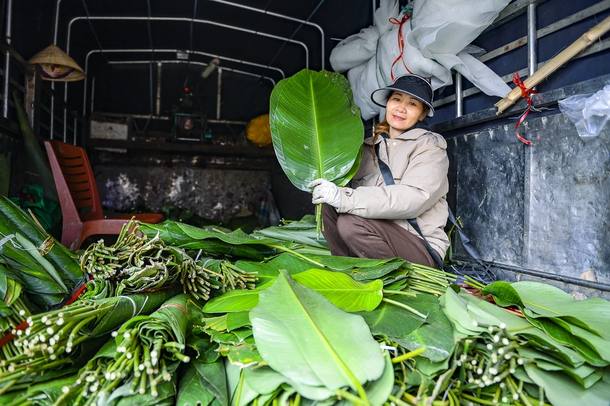 Lá dong, lạt giang rộn ràng về phố