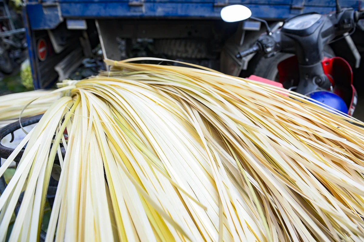 Lá dong, lạt giang rộn ràng về phố