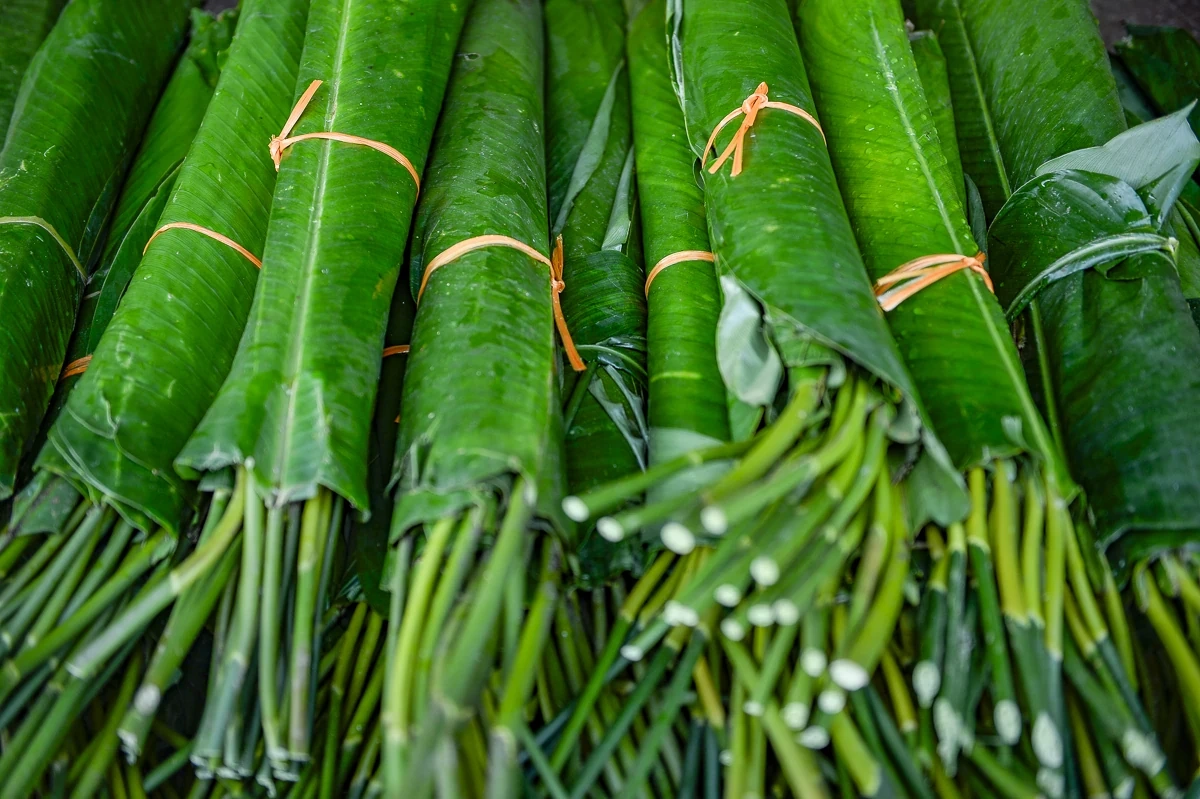 Lá dong, lạt giang rộn ràng về phố