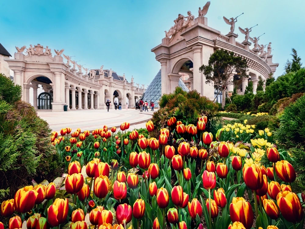 Hàng nghìn du khách đón Tết Bính Ngọ cùng hơn triệu bông tulip tại Sun World Ba Na Hills