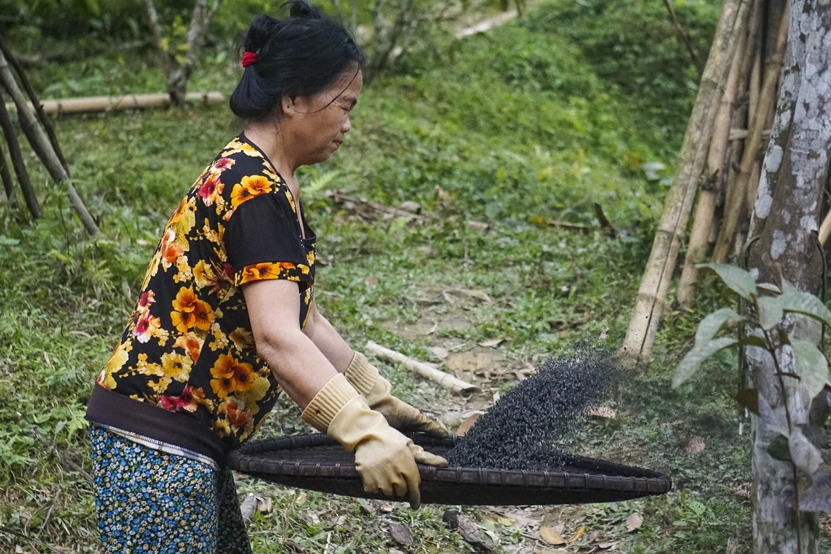 Bánh chưng đen - hồn Tết của người Thái trắng ở miền núi xứ Thanh