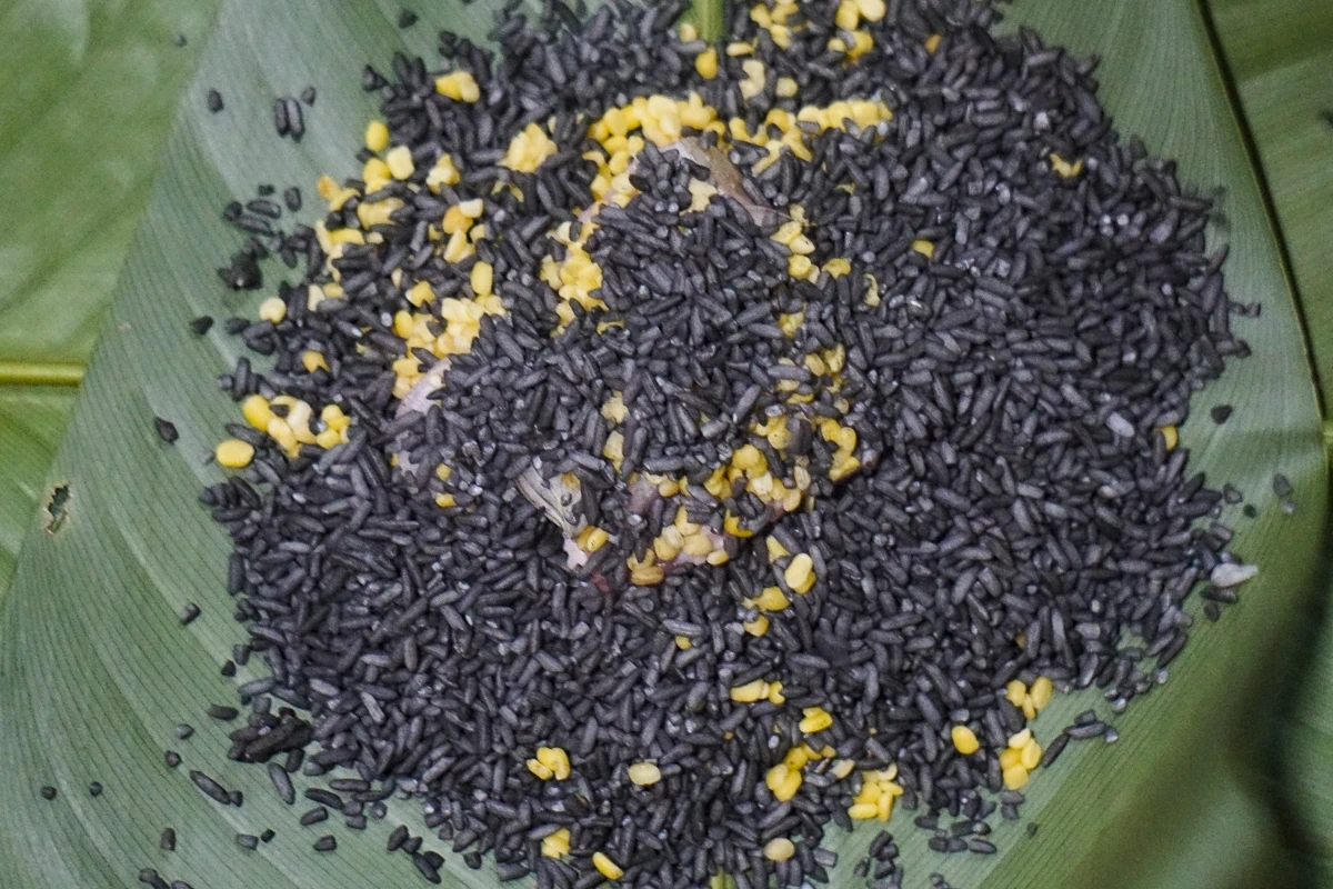 Bánh chưng đen - hồn Tết của người Thái trắng ở miền núi xứ Thanh