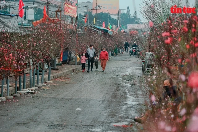 Đợt không khí lạnh đúng Tết Nguyên đán kéo dài đến khi nào?